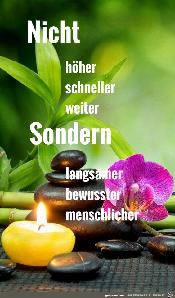 10 schne Sprche und Lebensweisheiten aus...