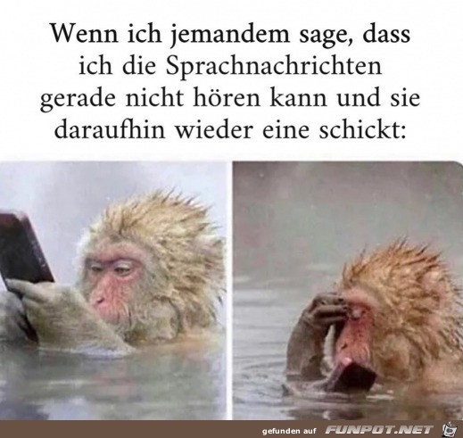 Nicht kapiert