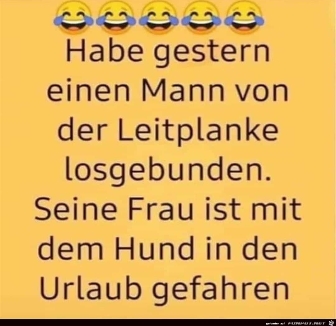 Habe gestern Habe gestern