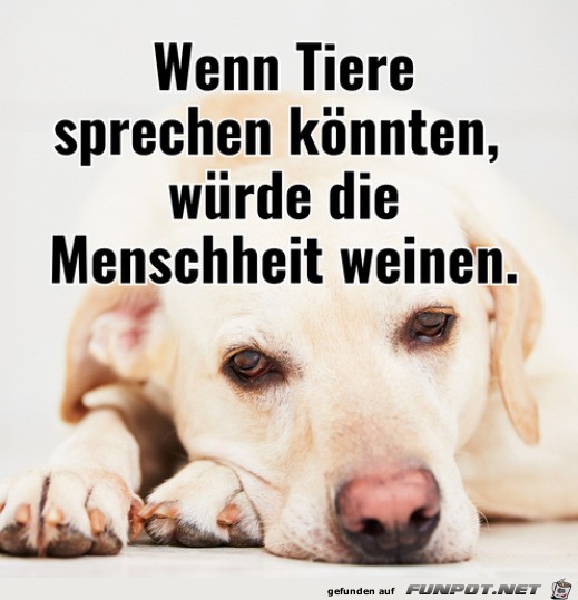 Wenn Tiere sprechen knnten