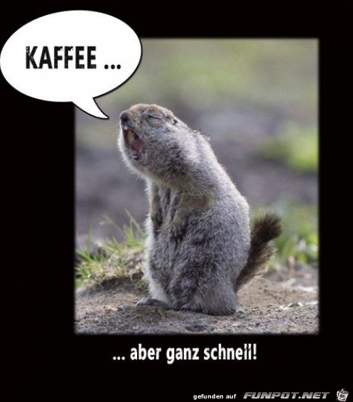 Sofort Kaffee