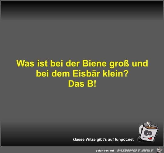 Was ist bei der Biene groß und bei dem Eisbär klein? Was ist bei der Biene groß und bei dem Eisbär klein?