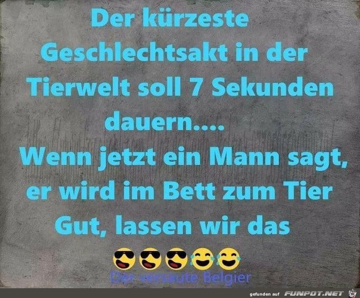 Geschlechtsakt