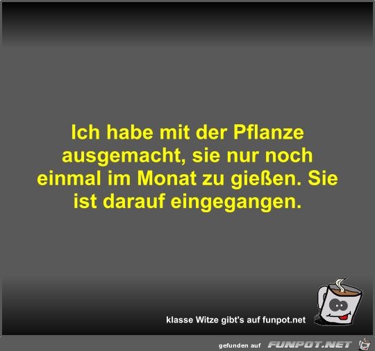 Ich habe mit der Pflanze ausgemacht