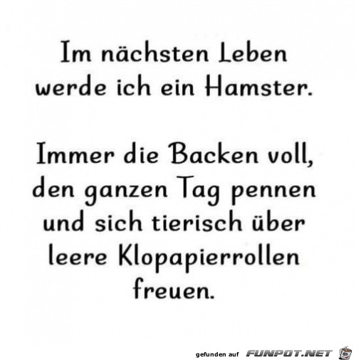 Hamster werden