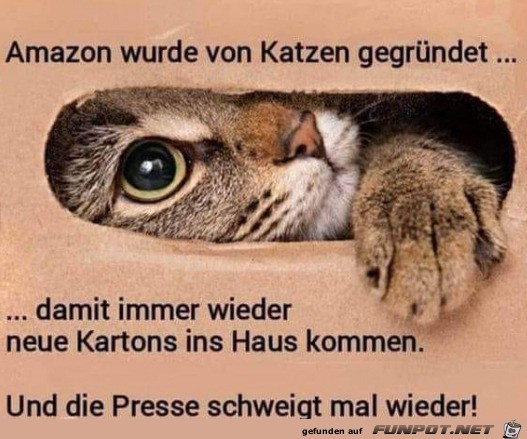 Von Katzen gegrndet