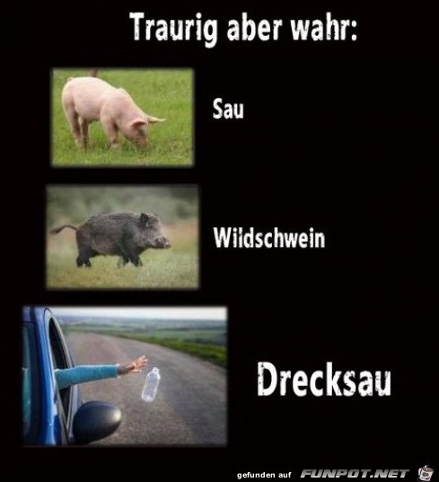 Leider wahr