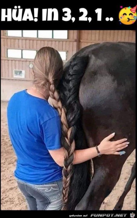 Hoffentlich rennt das Pferd nicht los