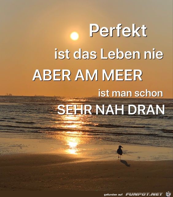 Am Meer