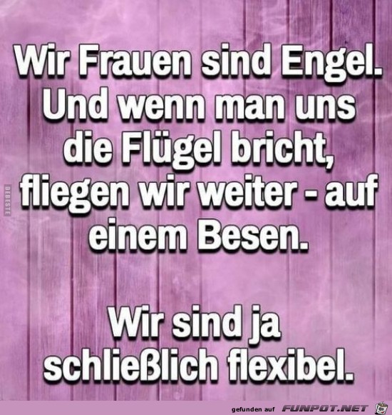 Wir Frauen sind Engel