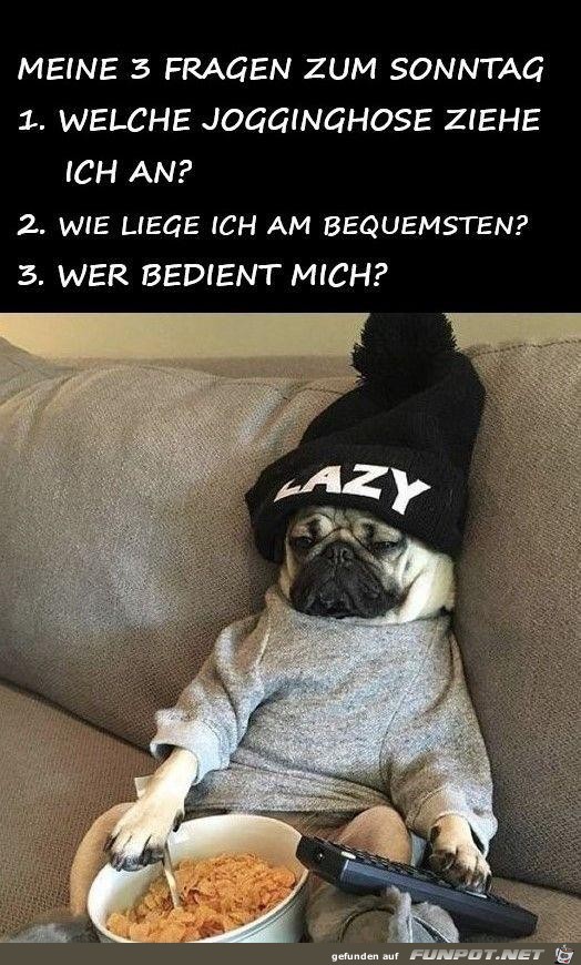 3 Fragen