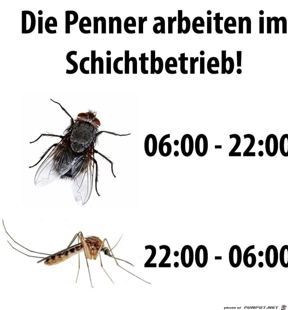 Die Penner