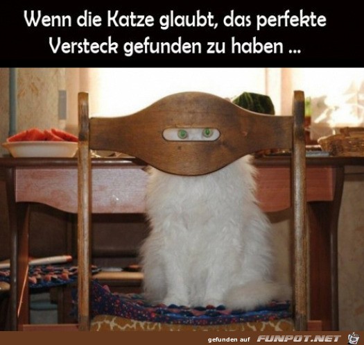 Das perfekte Versteck