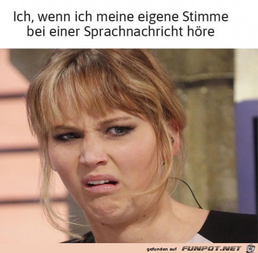 Meine eigene Stimme hren