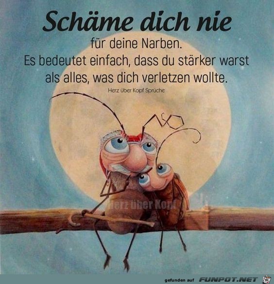 Schmee dich nie