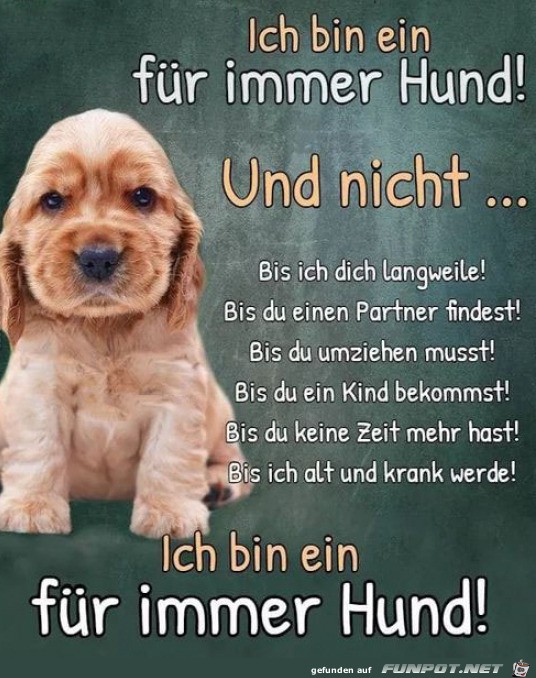 Ich bin ein fr immer Hund