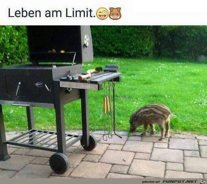 Leben am Limit