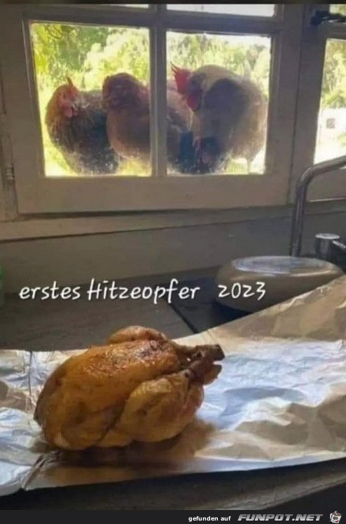 Erstes Hitzeopfer