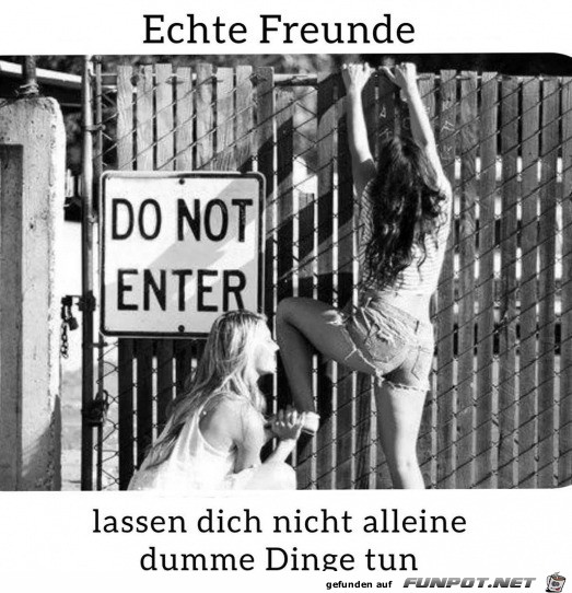 Echte Freunde