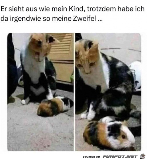 Sieht aus wie mein Kind