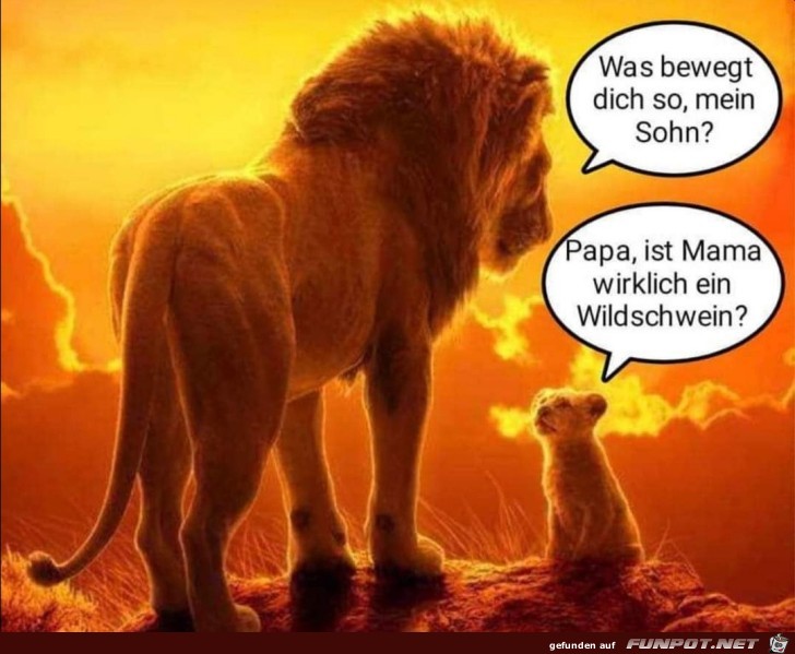 Lwin oder Wildschwein?