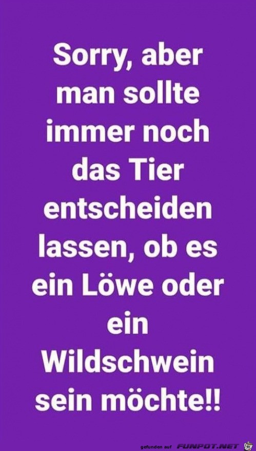 so ist es