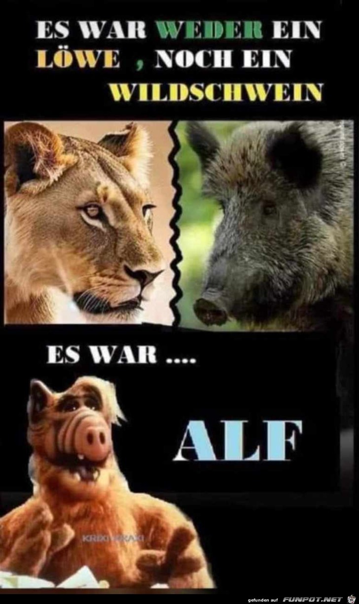 Es war Alf