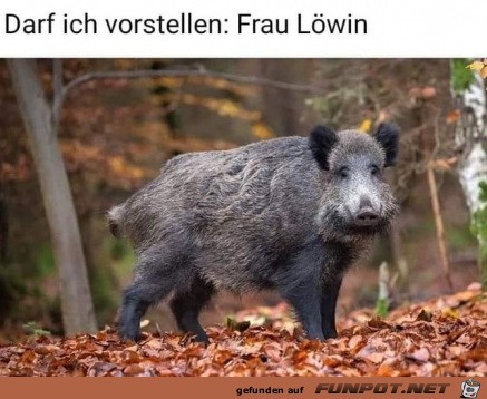 Frau Lwin