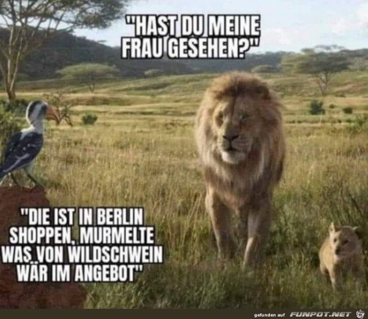 Hast du meine Frau gesehen?