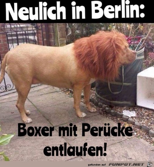 Neulich in Berlin