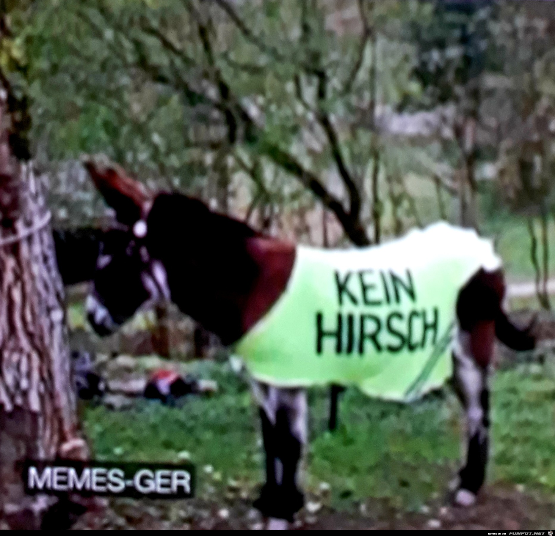 In Berlin beschriftet man jetzt die Tiere....