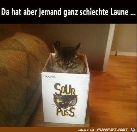 Schlechte Laune