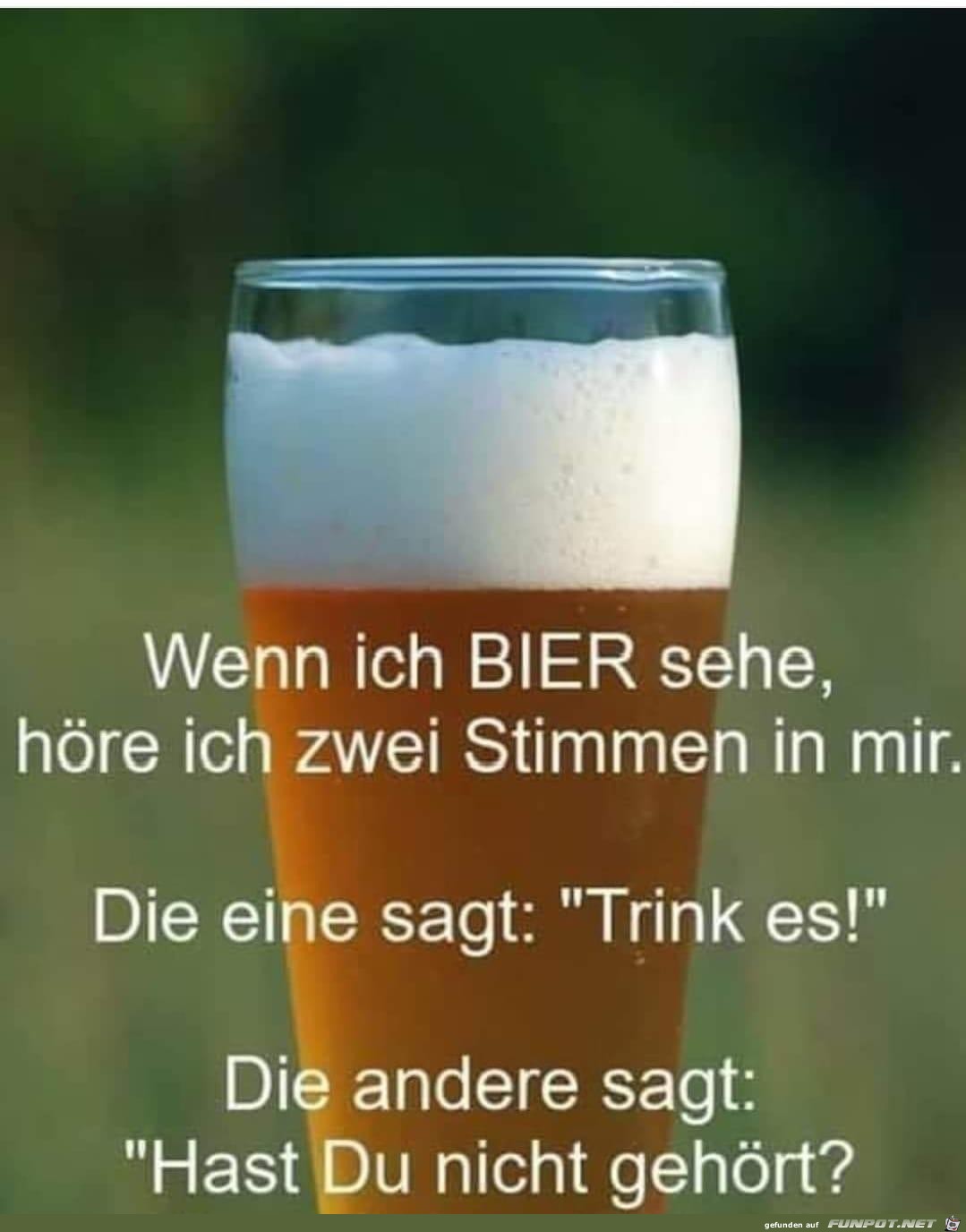 Bier