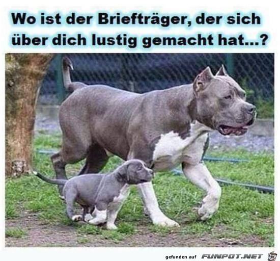 Wo ist der Brieftrger