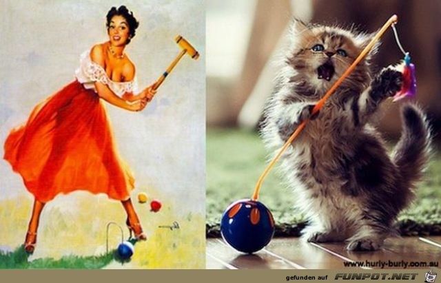 Katzen-Pinups