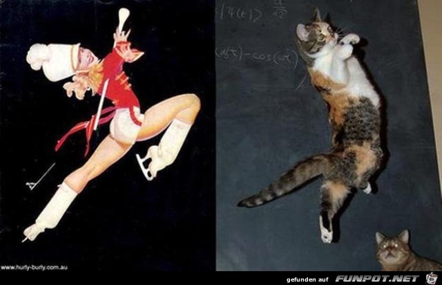 Katzen-Pinups