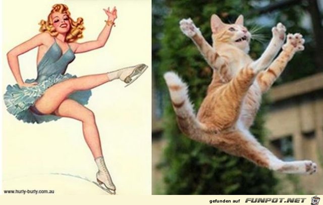 Katzen-Pinups 11