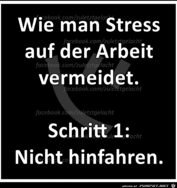 Toller Tipp