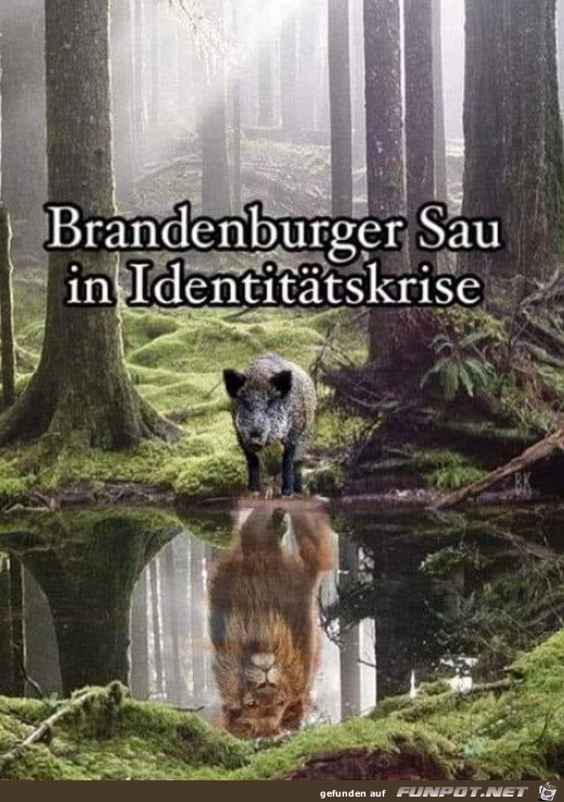 Identittskrise