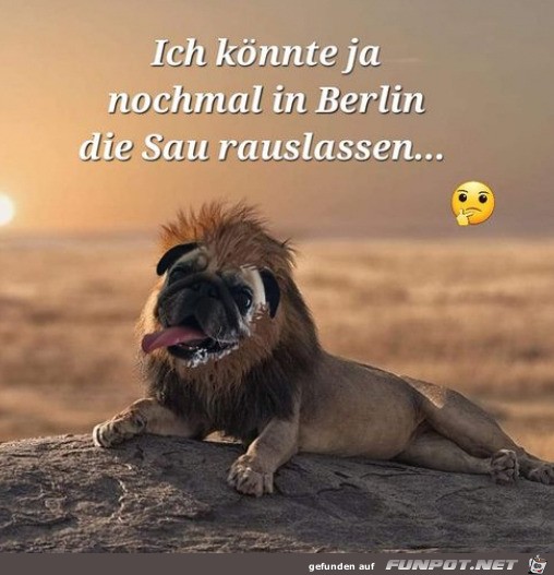 In Berlin die Sau rauslassen