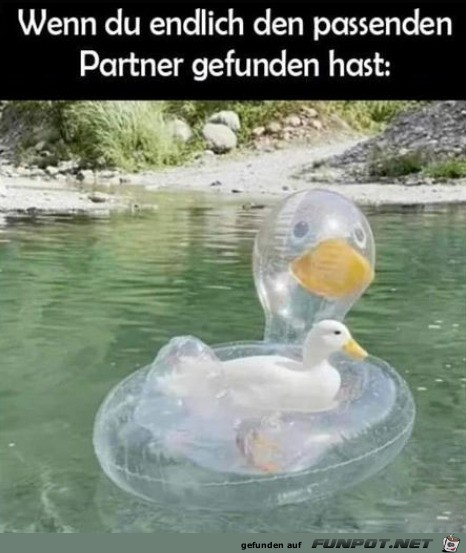 Passenden Partner gefunden