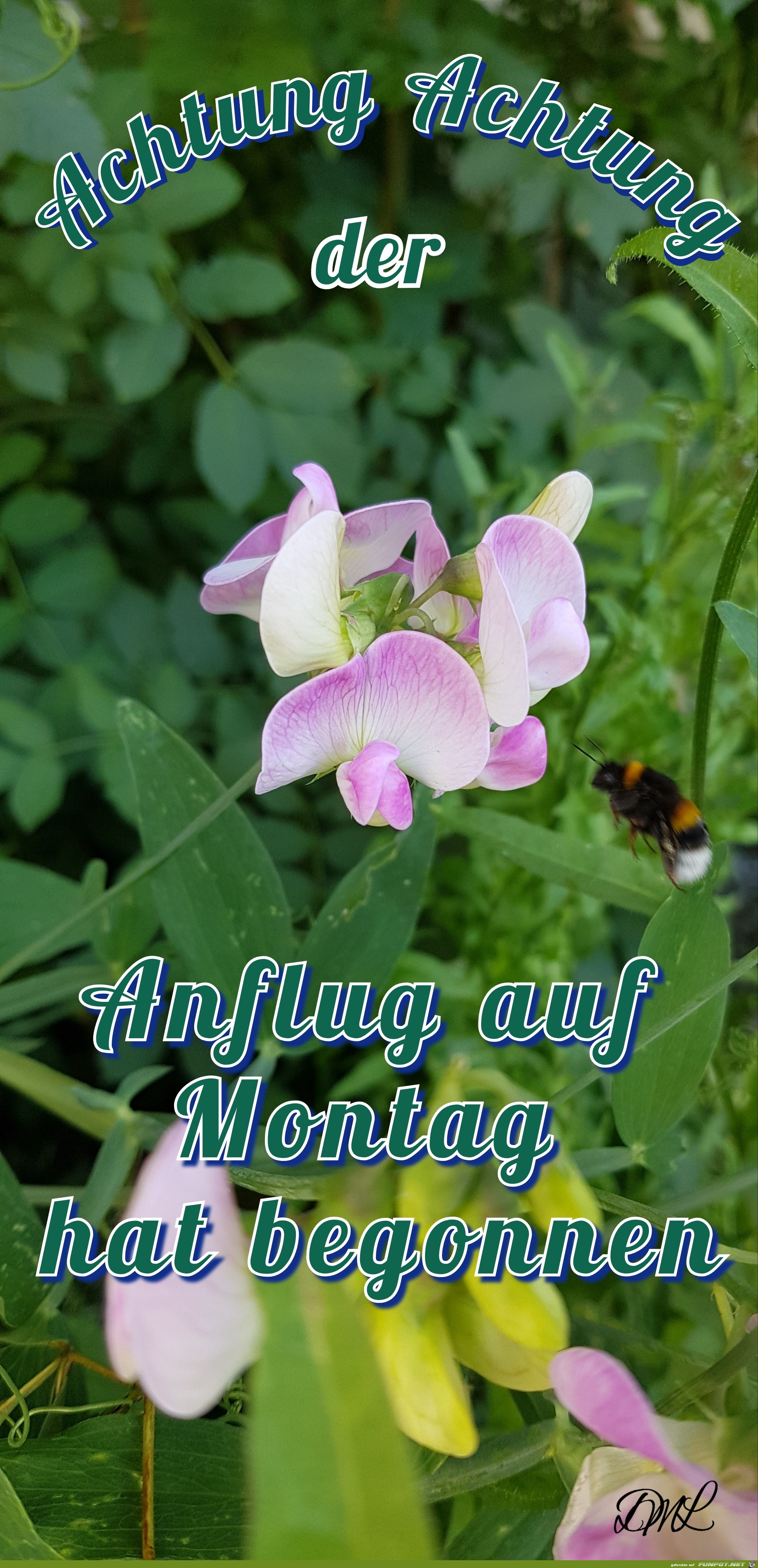 Montag