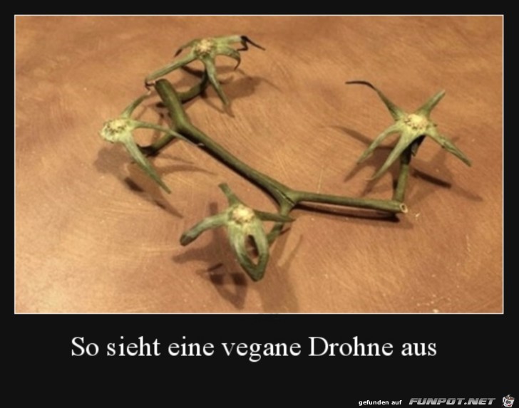 Vegane Drohne