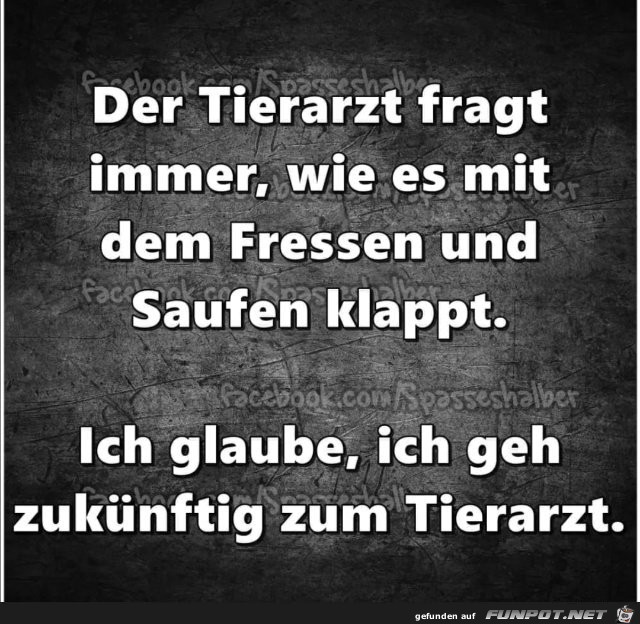 Der Tierarzt