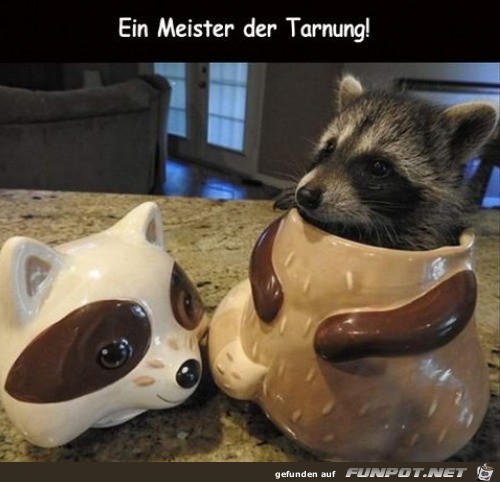 Meister der Tarnung