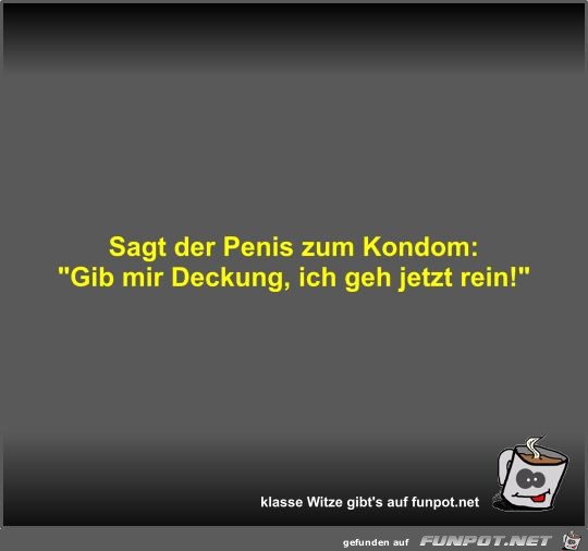 Sagt der Penis zum Kondom