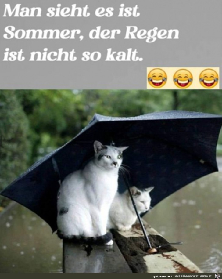 Es ist Sommer