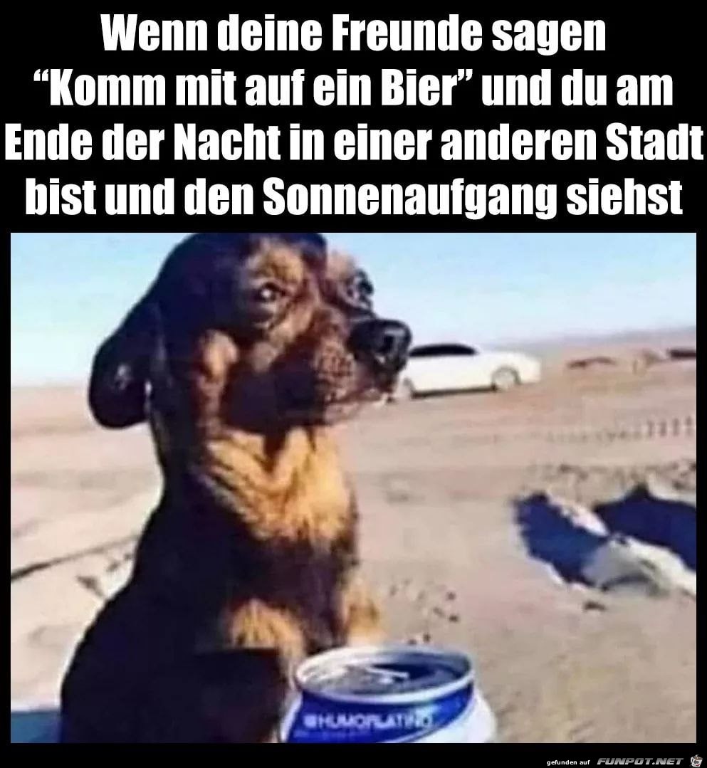 Komm mit auf ein Bier