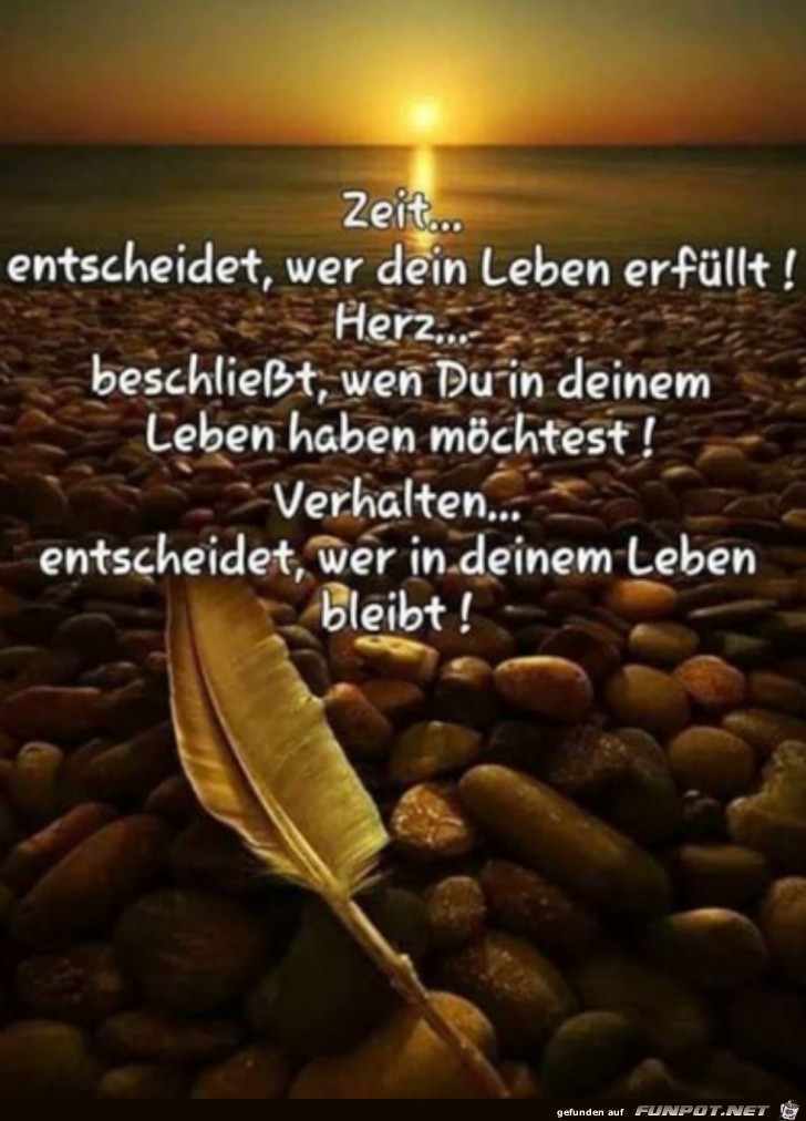 Zeit Herz Verhalten