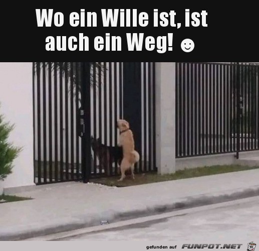 Wo ein Wille ist